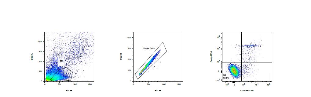 流式细胞术从零开始说