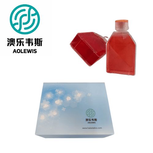 山羊乳腺上皮细胞永生化