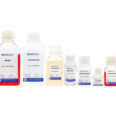大鼠肝实质细胞分离试剂盒