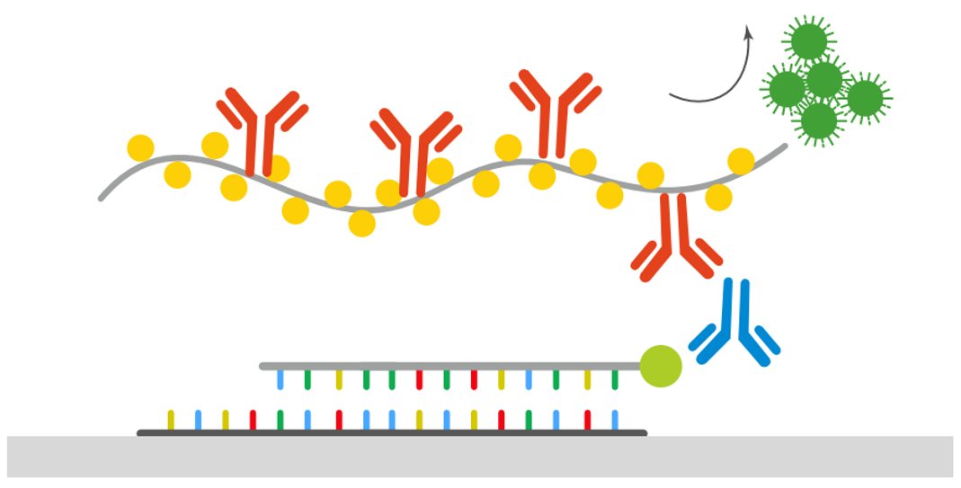 什么是原位杂交技术？该技术的优势有哪些？