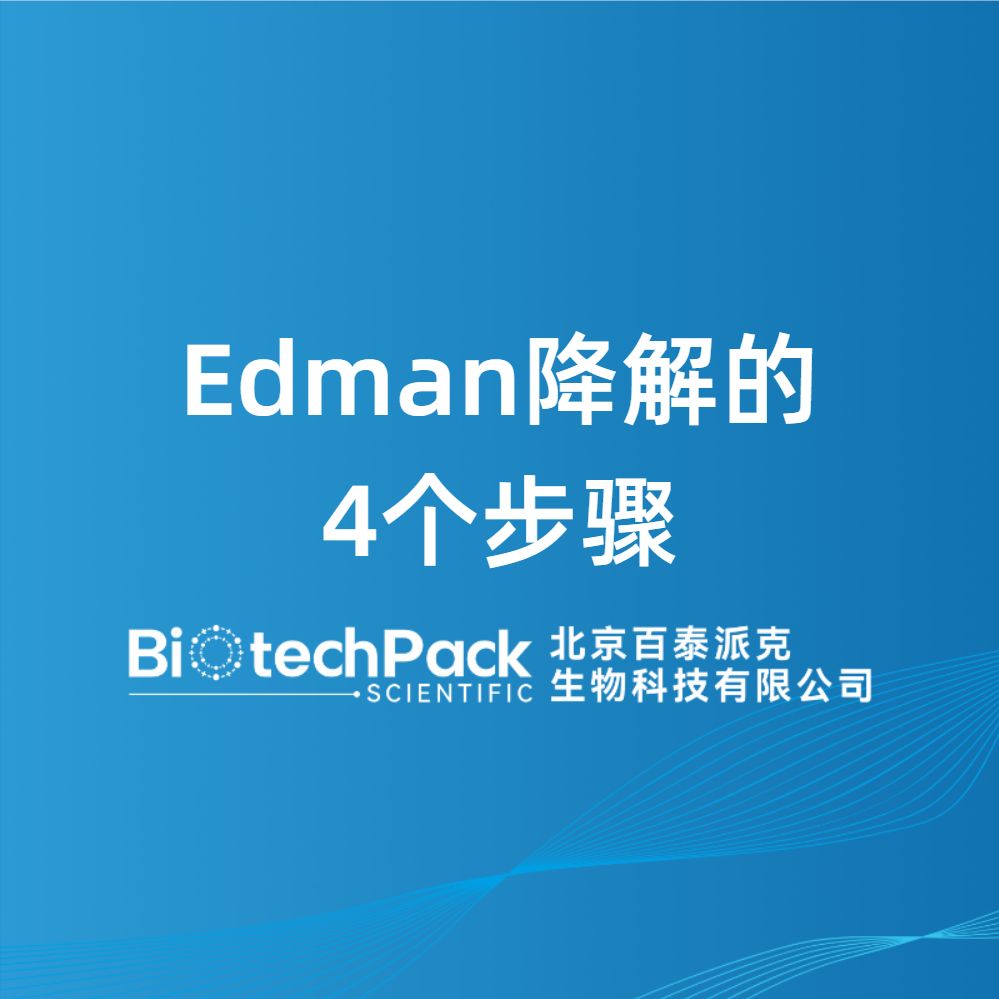 Edman降解的4个步骤