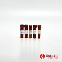 IK-LIN-8 成脂诱导小分子化合物Kit-8(即用型,吲哚美辛) 干细胞相关 索莱宝