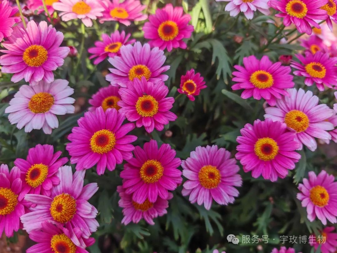 Umibio 二季度活动，钜惠来袭！