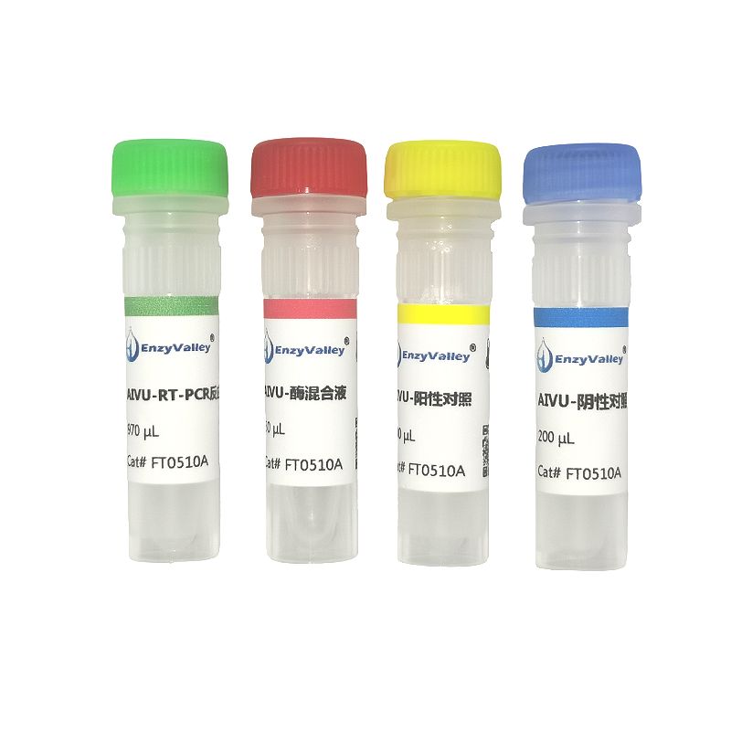 牛呼肠孤病毒RT-PCR试剂盒