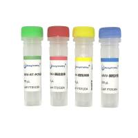 牛呼肠孤病毒RT-PCR试剂盒