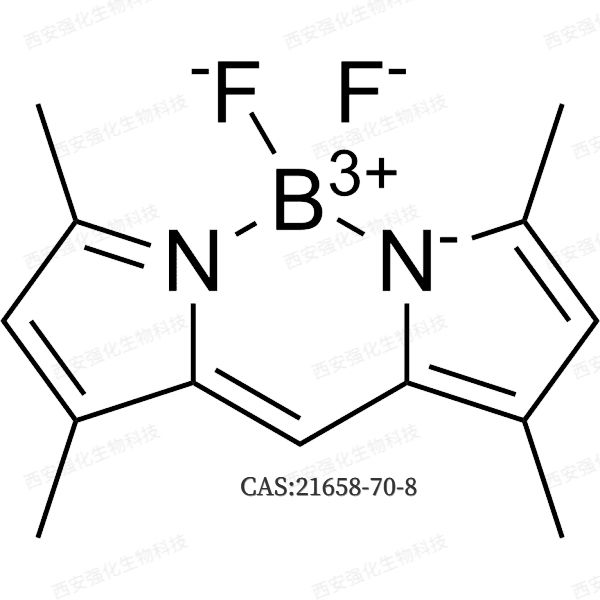 BODIPY 505/515脂滴荧光探针