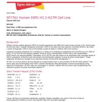 默克Merck SF7761 H3.3 K27M Cell Line