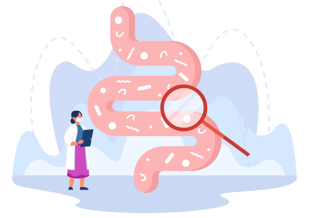 研究热点丨肠道微生物代谢组学助力揭示肝性脑病新机制