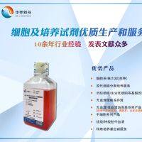 人胰腺肿瘤成纤维细胞永生化专用培养基