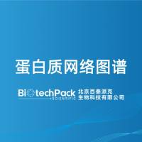 蛋白质网络图谱