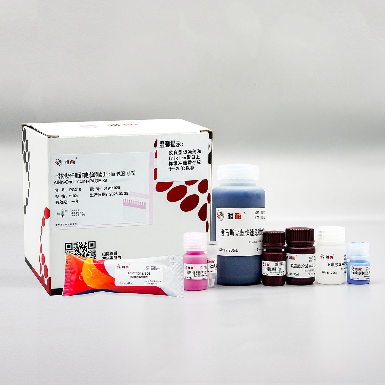 PG310 一体化低分子量蛋白电泳试剂盒(Tricine-PAGE)(10%)