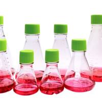 硕华 281210 125ml 三角培养摇瓶，PC材质，密封盖，平底