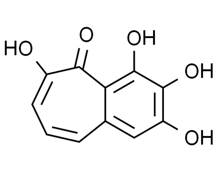 屏幕截图 2025-04-01 104701.png