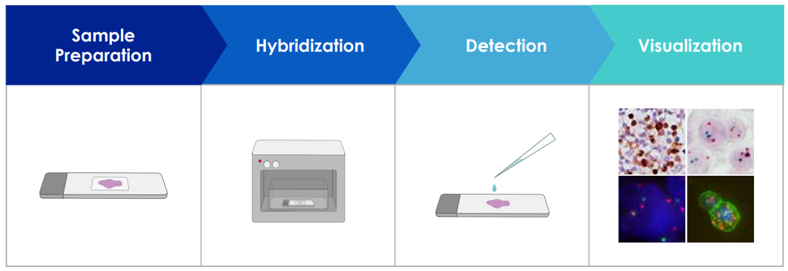 什么是原位杂交技术？该技术的优势有哪些？