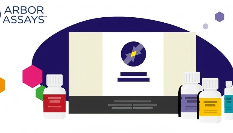 评价氧化应激指标——谷胱甘肽Elisa检测