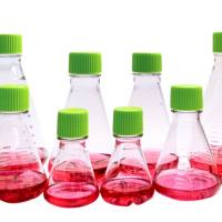 硕华 284120 1000ml 三角培养摇瓶,PC材质,滤膜盖,挡板凹底