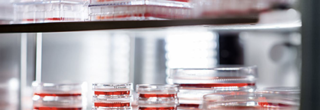 大力出奇迹？警惕！细胞离心中的机械损伤