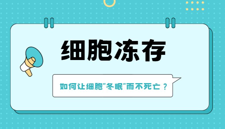 细胞冻存：如何让细胞“冬眠”而不死亡？