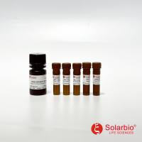 IK-LIN-7 成脂诱导小分子化合物Kit-7(即用型,含饱和油红O,吲哚美辛) 干细胞相关 索莱宝