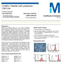 CCMCL1 Mantle Cell Lymphoma Cell Line