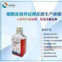 猪脂肪干细胞永生化专用培养基