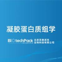 凝胶蛋白质组学