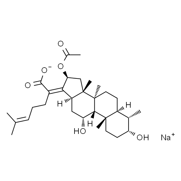 IF1280 夫西地酸钠 抗感染 索莱宝