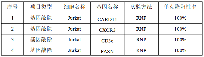 技术资料图片4