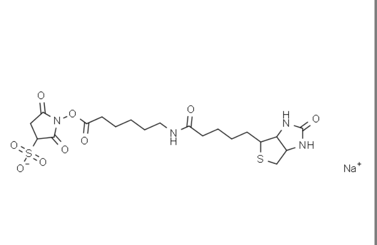 屏幕截图 2025-04-02 135858.png