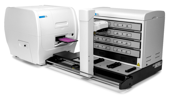 实时细胞成像 I 揭秘癌细胞“不死之谜”