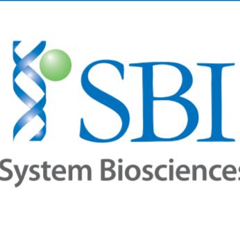 Human pre-microRNA Expression Construct Lenti-miR-(试剂)