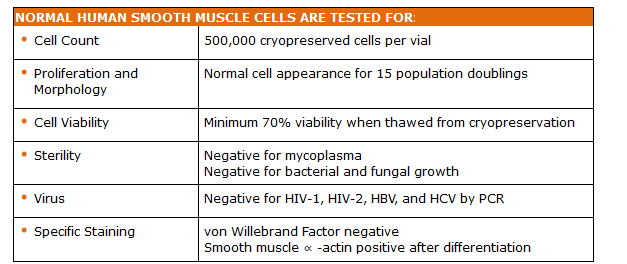 人肺动脉平滑肌细胞Normal Human Pulmonar