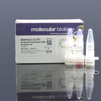 RevertAid First Strand cDNA Synthesis Kit