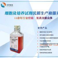 人肝外胆管上皮细胞永生化专用培养基