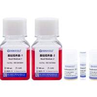 SH-SY5Y诱导分化神经元试剂盒