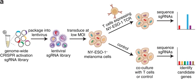 技术资料图片10