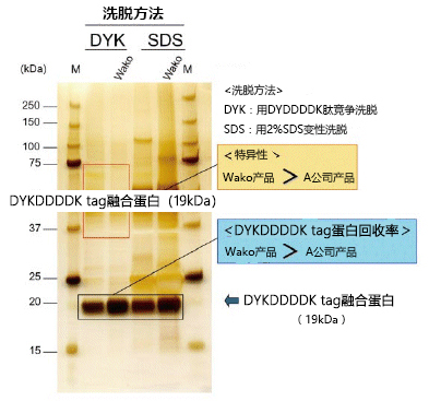 111560219957.jpg 111560219957.jpg
