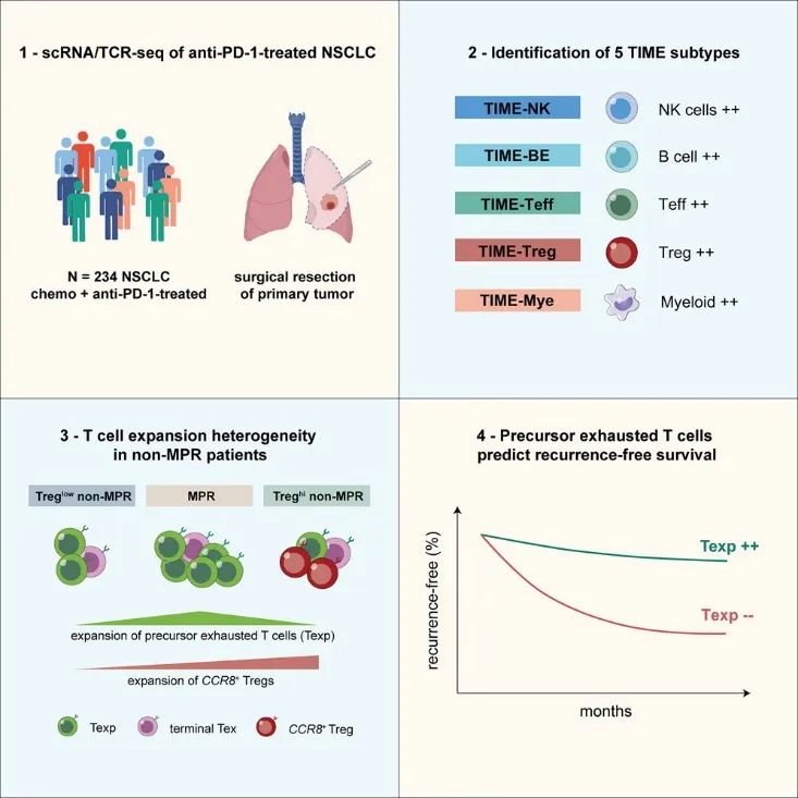 单细胞洞察新辅助治疗前沿，解锁肿瘤治疗新契机