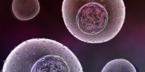 稳定细胞株筛选的两种方法步骤详述