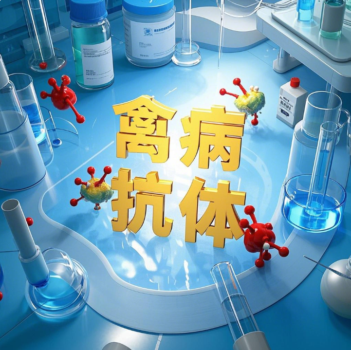 产品细节图片3