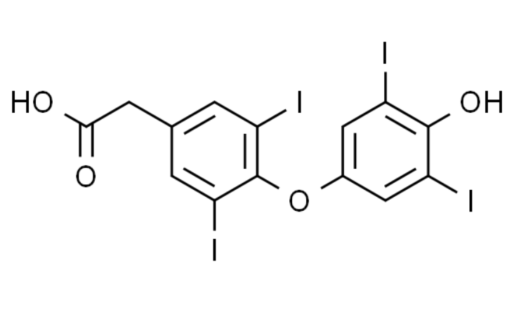 屏幕截图 2025-04-02 151746.png