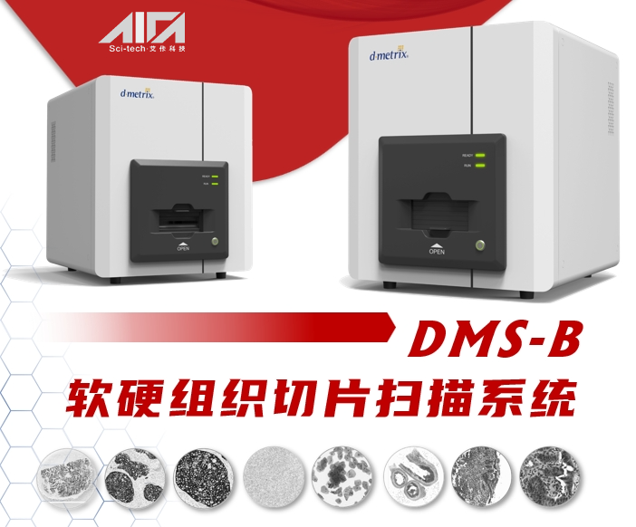 软硬组织病理切片数字扫描及其形态计量分析系统