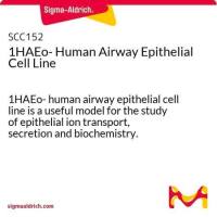  默克Merck 1HAEo- Human Airway Epithelial Cell Line