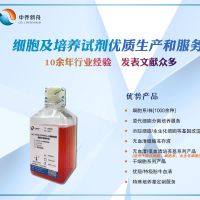 大鼠海绵体内皮细胞永生化专用培养基