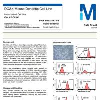 默克Merck DC2.4 Mouse Dendritic Cell Line