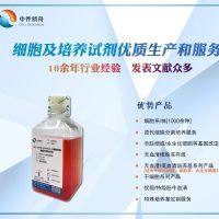 猪主动脉内皮细胞-永生化专用培养基