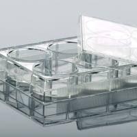 硕华 221300 24孔细胞培养板，平底，未TC处理