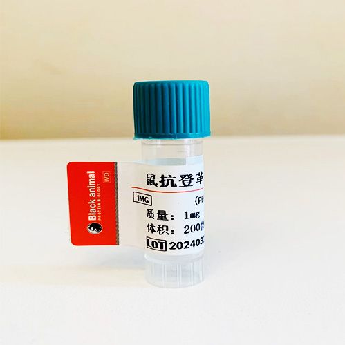 鼠抗登革热病毒NS1单克隆抗体；登革热病毒NS1抗体；登革热病毒抗体；登革热抗体