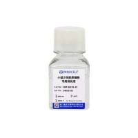 小鼠少突胶质细胞专用消化液
