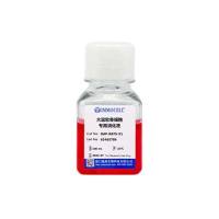 大鼠软骨细胞专用消化液